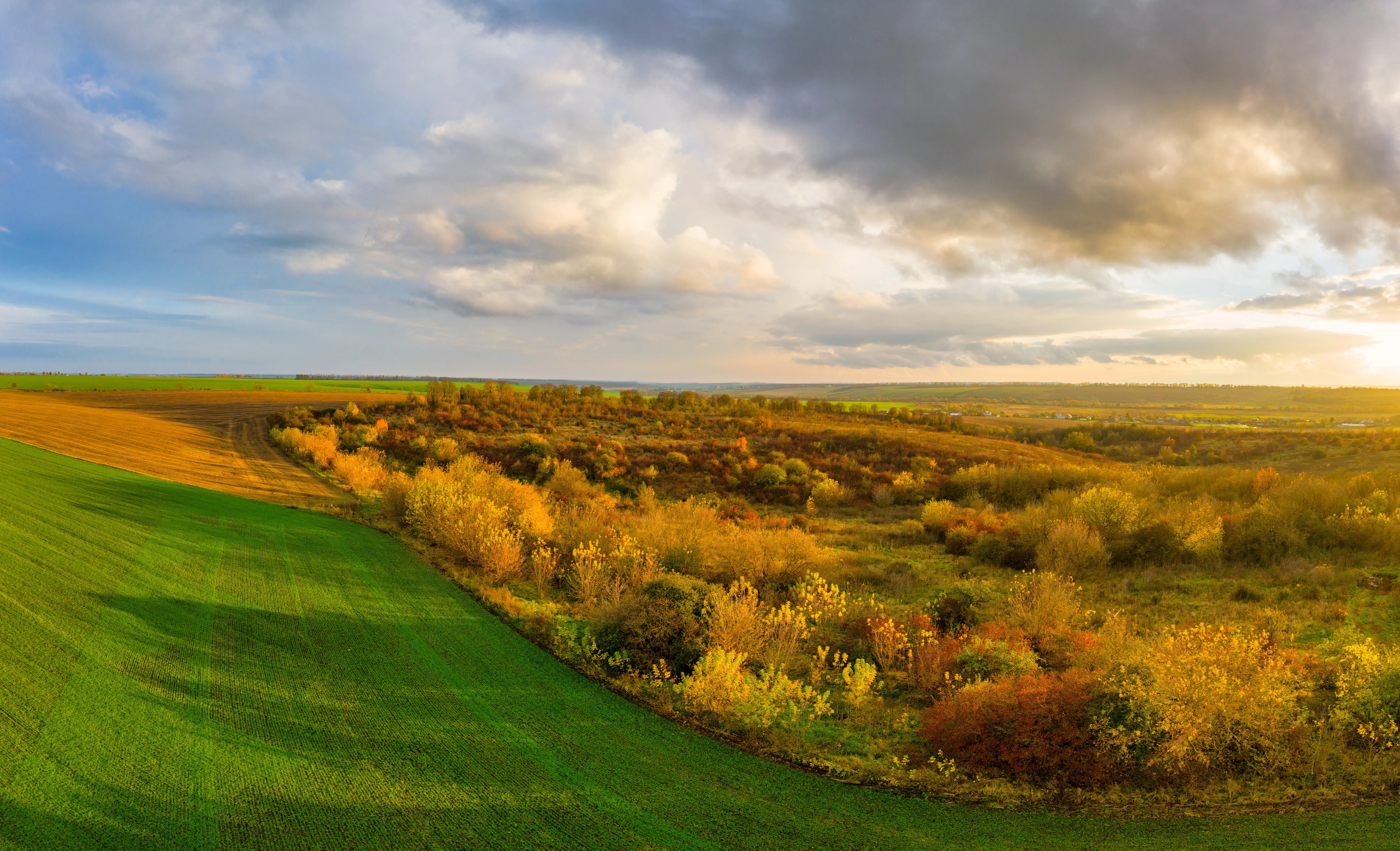 Artificial grass in Lucas, TX
