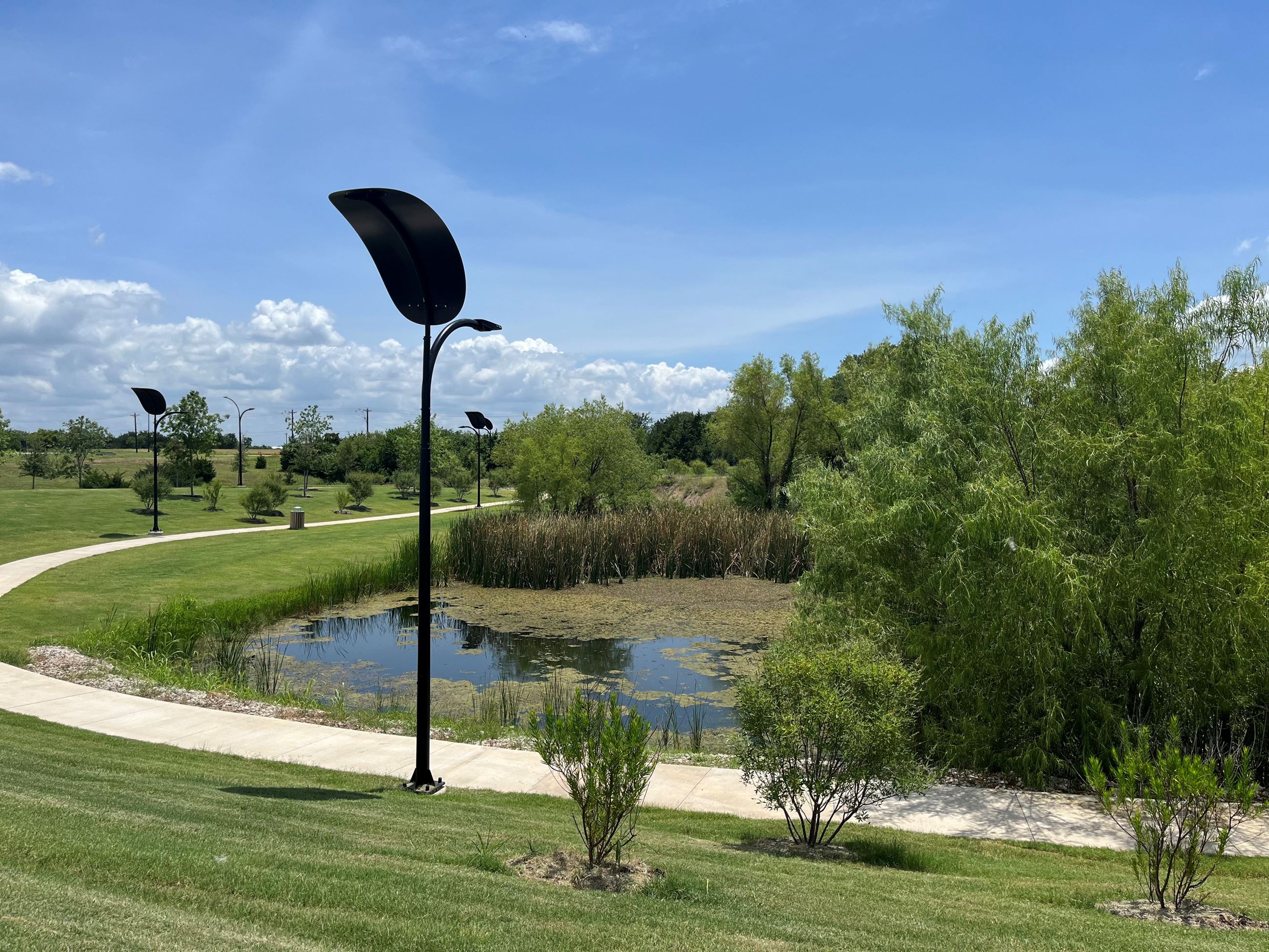 Artificial grass installation in Princeton, TX